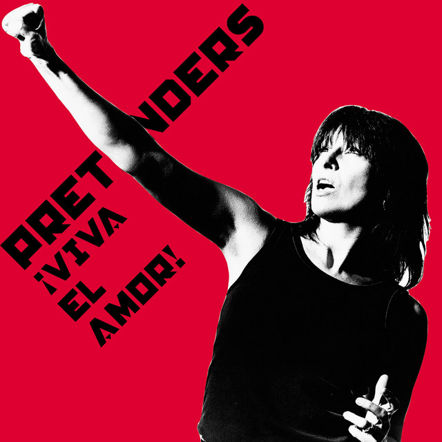 The Pretenders - From the heart down