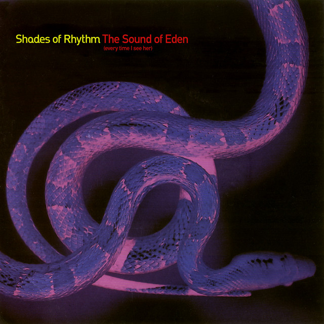 Shades Of Rhythm - Sound Of Eden