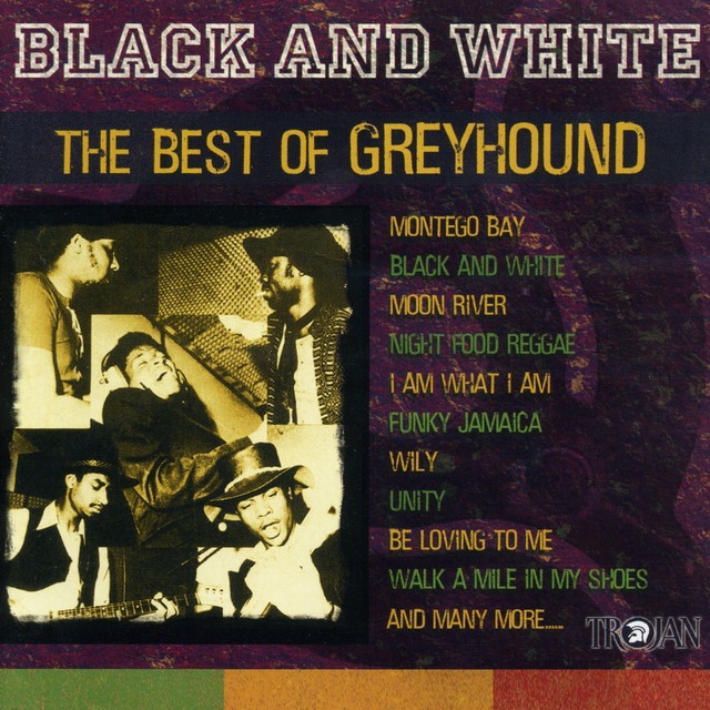 Greyhound - Black And White