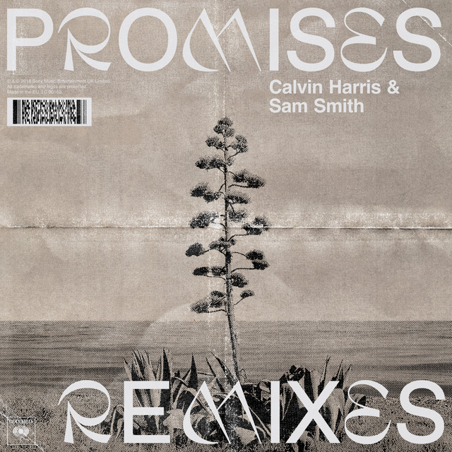 Calvin Harris - Promises