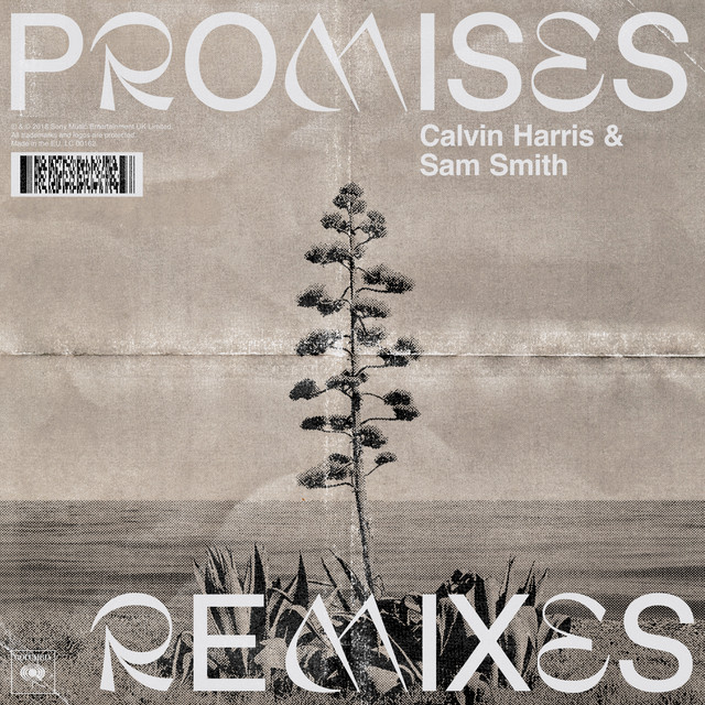 Calvin Harris & Sam Smith - Promises (MK Remix)