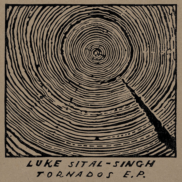 Luke Sital-Singh - Nothing Stays The Same