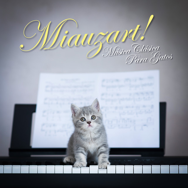 Wolfgang Amadeus Mozart - Concerto fir Gei Nr.1 a Si bémol Majeur, KV 208, III. Presto