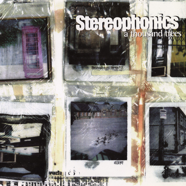 Stereophonics - A Thousand Trees