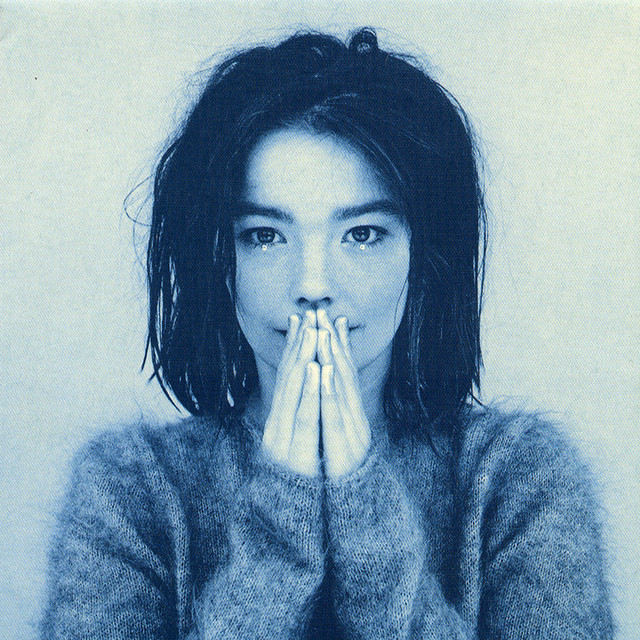 Bjork - I Remember You