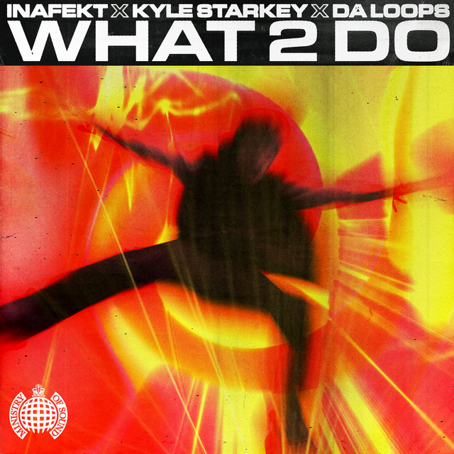 DaLoops - What 2 Do