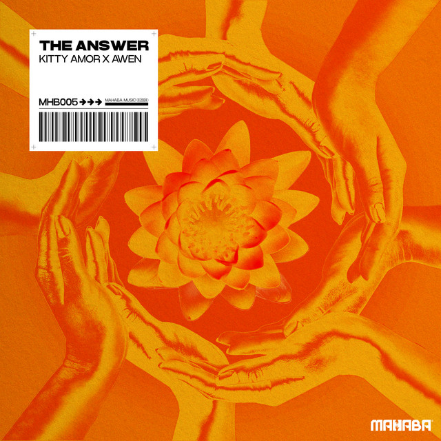 AWEN - The Answer