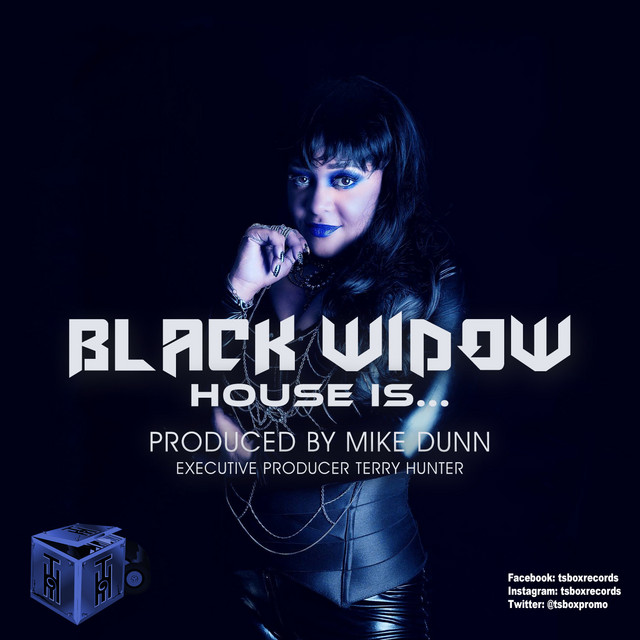 Black Widow & Mike Dunn - House Is (Mike Dunn Blackball Vokal MixX)