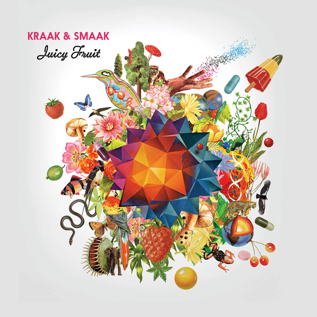 Kraak & Smaak - My Mind's Made Up