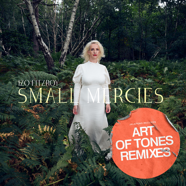 Izo FitzRoy - Small Mercies