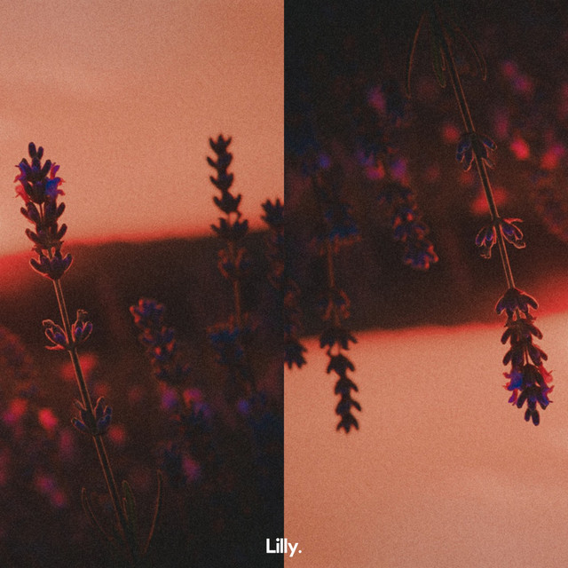 Afnan Prince & Banyan - Lavender