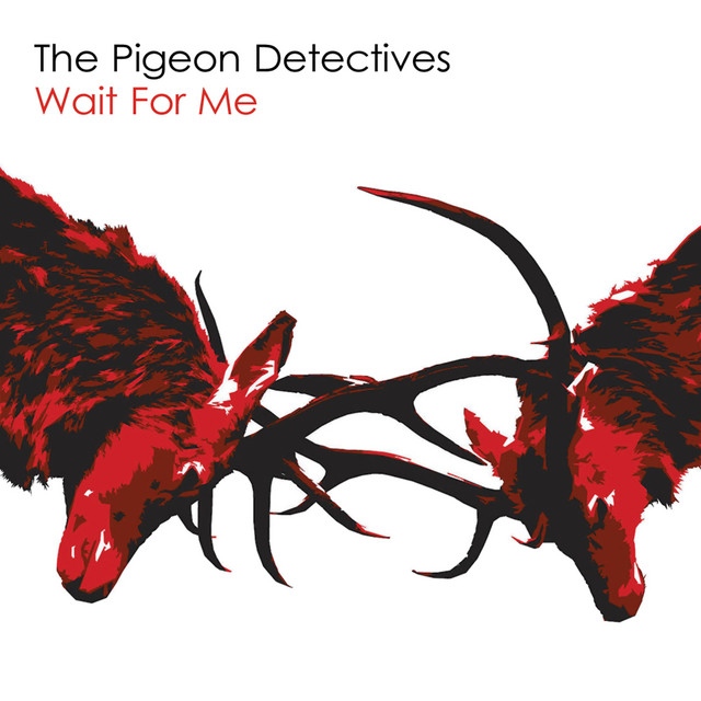 The Pigeon Detectives - I'm Not Sorry