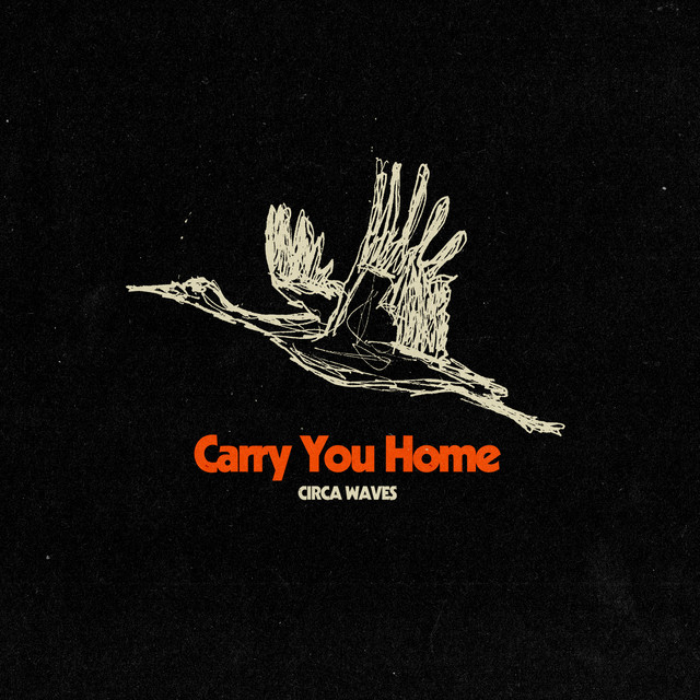 Carry You Home