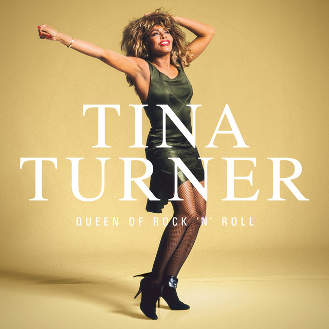 Tina Turner - In Your Wildest Dreams