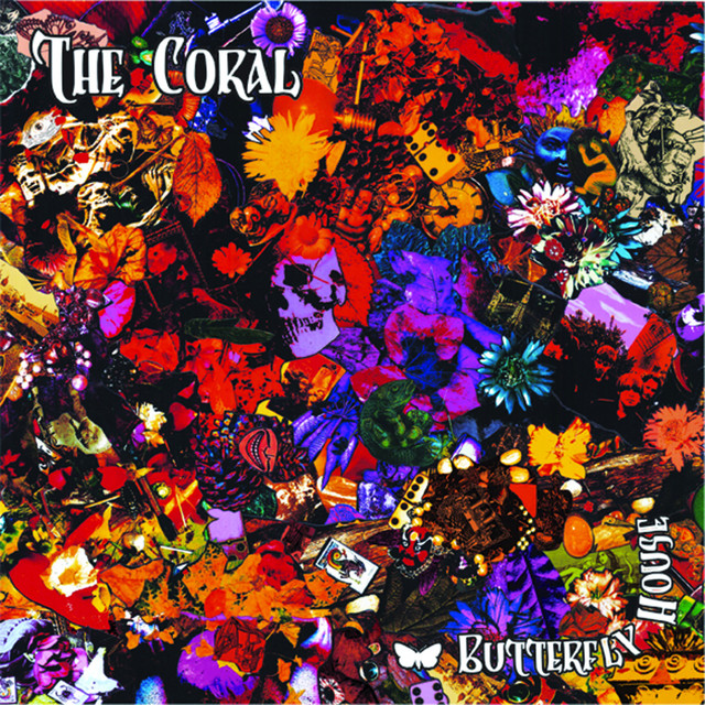 The Coral - 1000 Years