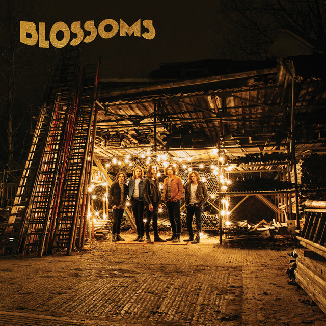 Blossoms - At Most A Kiss