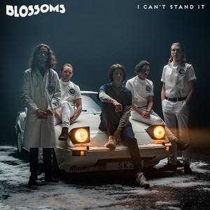 Blossoms - I Cant Stand It