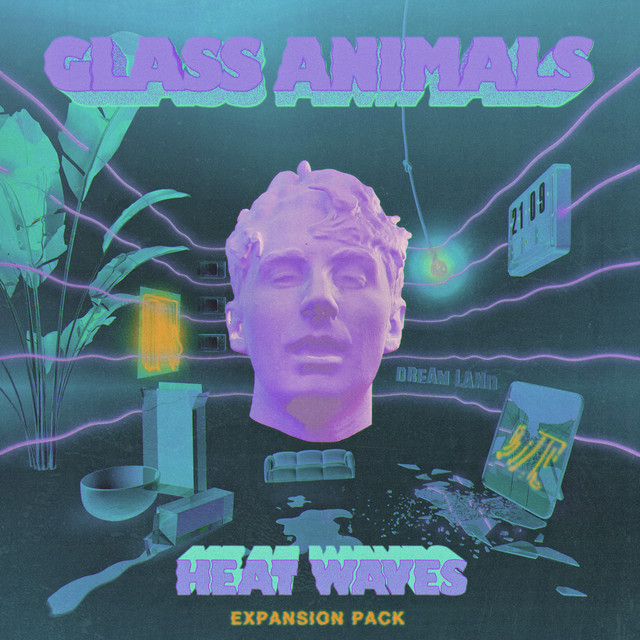 Glass Animals - Heat Waves (sonny Fodera Remix)