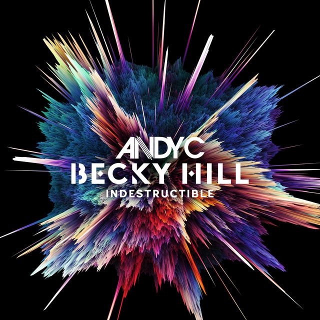 Andy C - Indestructible