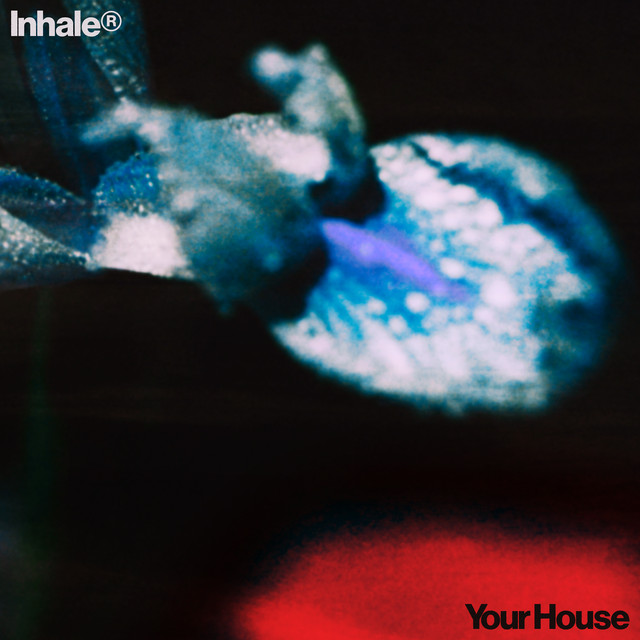 Inhaler - Your House