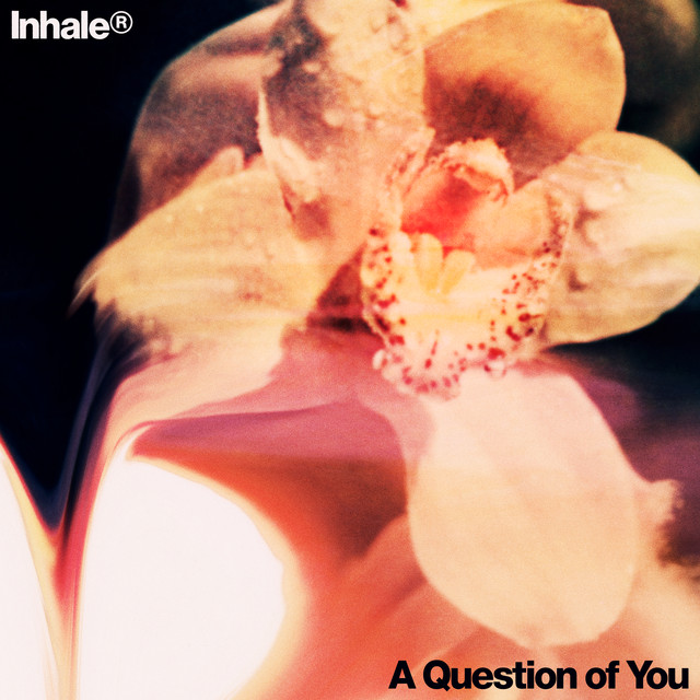 A Question Of You