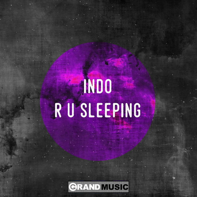 Indo - R U Sleeping (Bump 'N' Flex Remix)