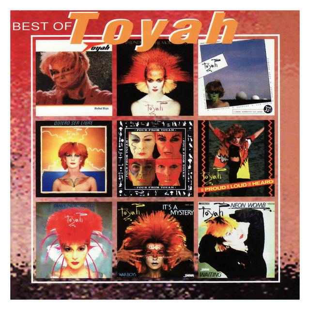 Toyah - It's A Mystery