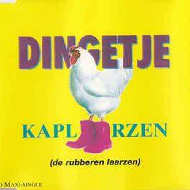 Dingetje - Kaplaarzen