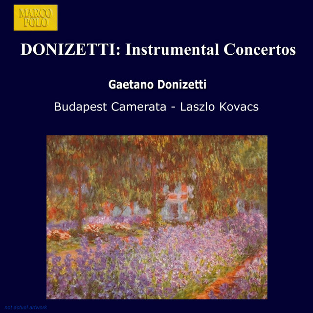 Gaetano Donizetti - Concertino fir Klarinett a Si bémol Majeur, II. Allegretto