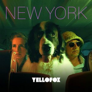 Yellofox - New York