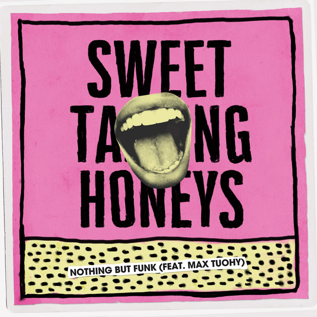 Nothing But Funk - Sweet Talking Honeys