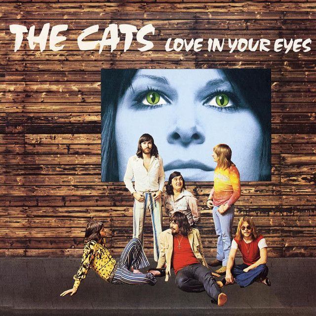 The Cats - Love In Your eyes