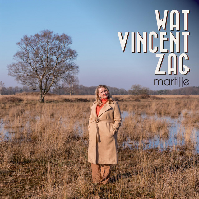 Martijje - Wat Vincent zag