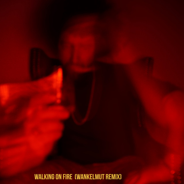Wankelmut - Walking On Fire