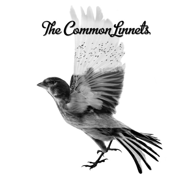 The Common Linnets - Hungry Hands