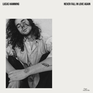Lucas Hamming - Never Fall In Love Again