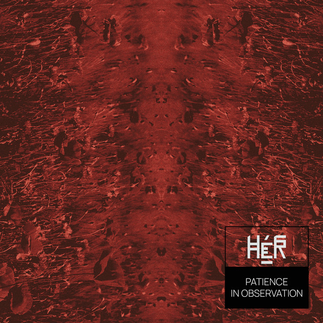 Her - Patience in Observation