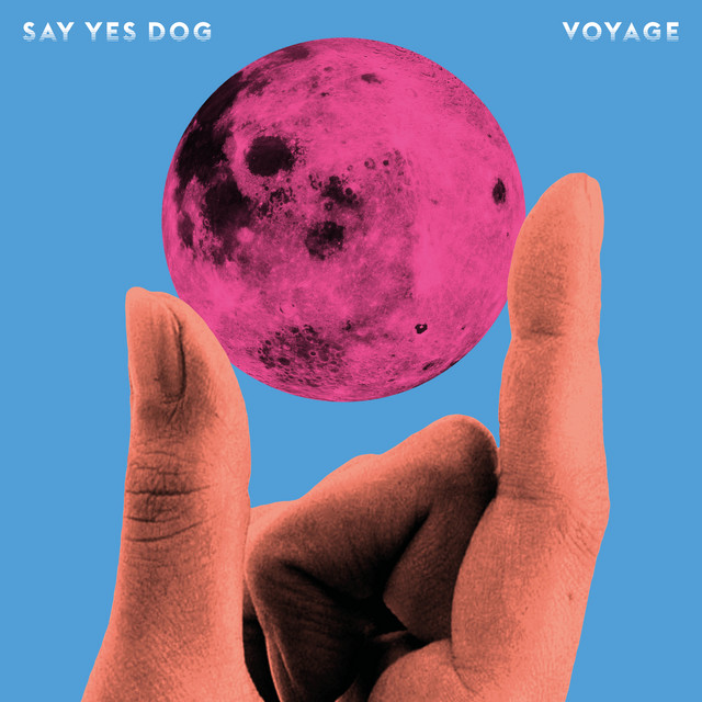 Say Yes Dog - Feel Better