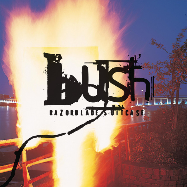 Bush - Greedy Fly