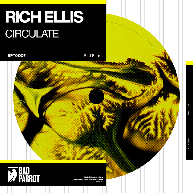 Rich Ellis - Circulate