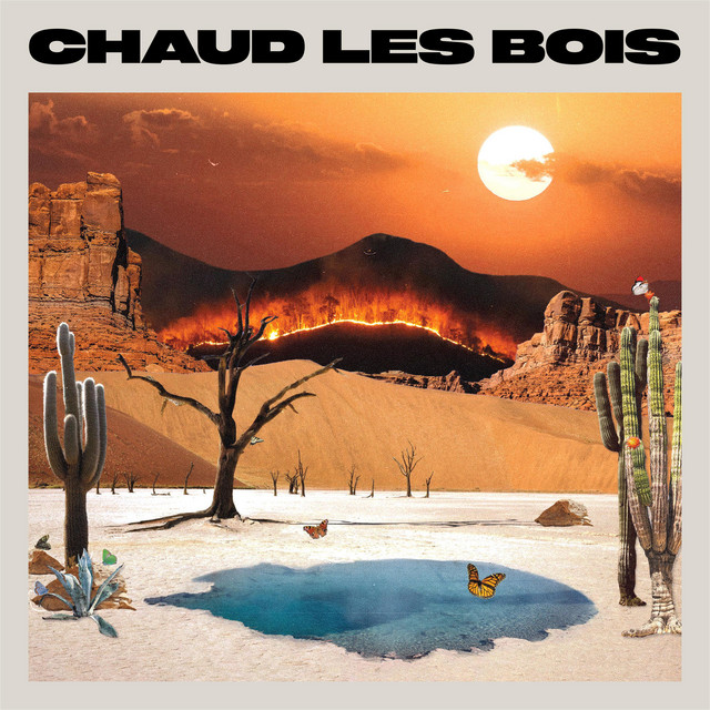 Le Vibe - Chaud Les Bois