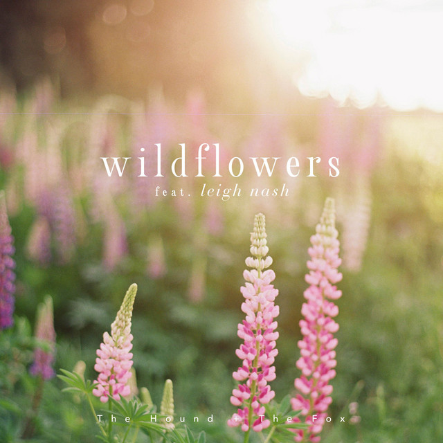 Leigh Nash - Wildflowers