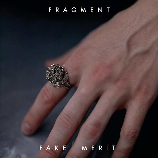 Fragment - Fake Merit