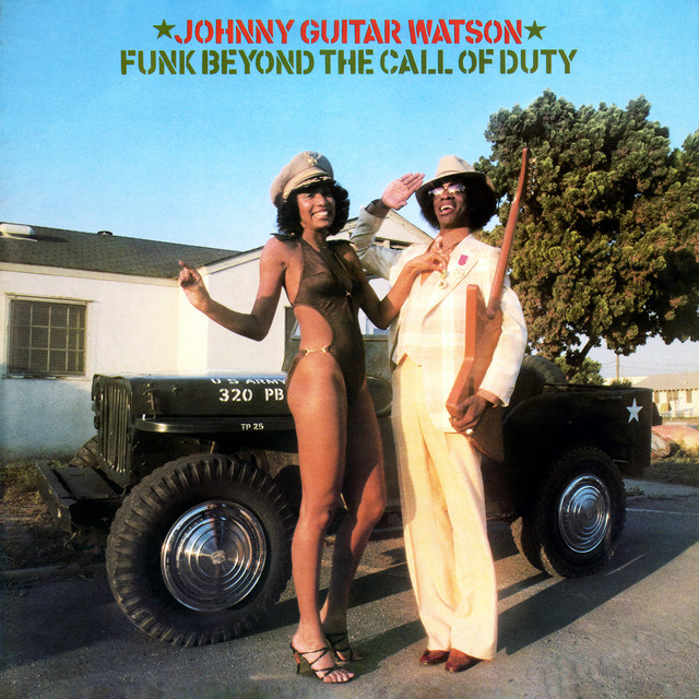 Johnny Guitar Watson - It's A Damn Shame