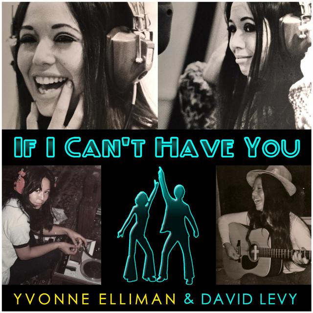 David Levy - If I Can't Have You