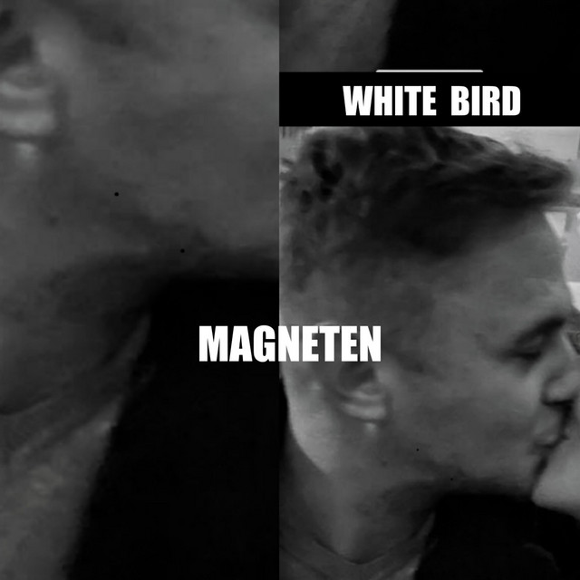 White Bird - Magneten