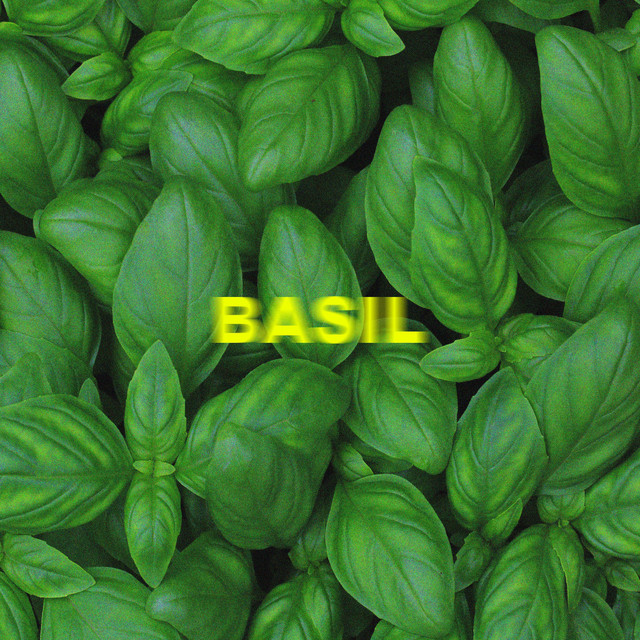 Isaac Zale - Basil