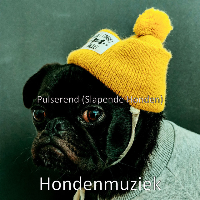 Hondenmuziek - Mijn Hondje Dat Heet Keesie