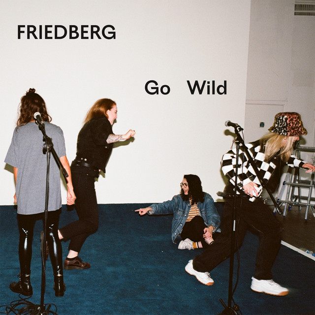 Friedberg - Go wild