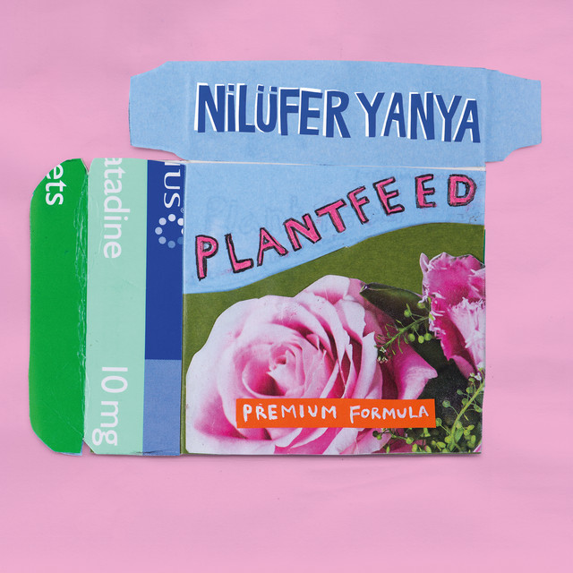 Nilufer Yanya - The florist